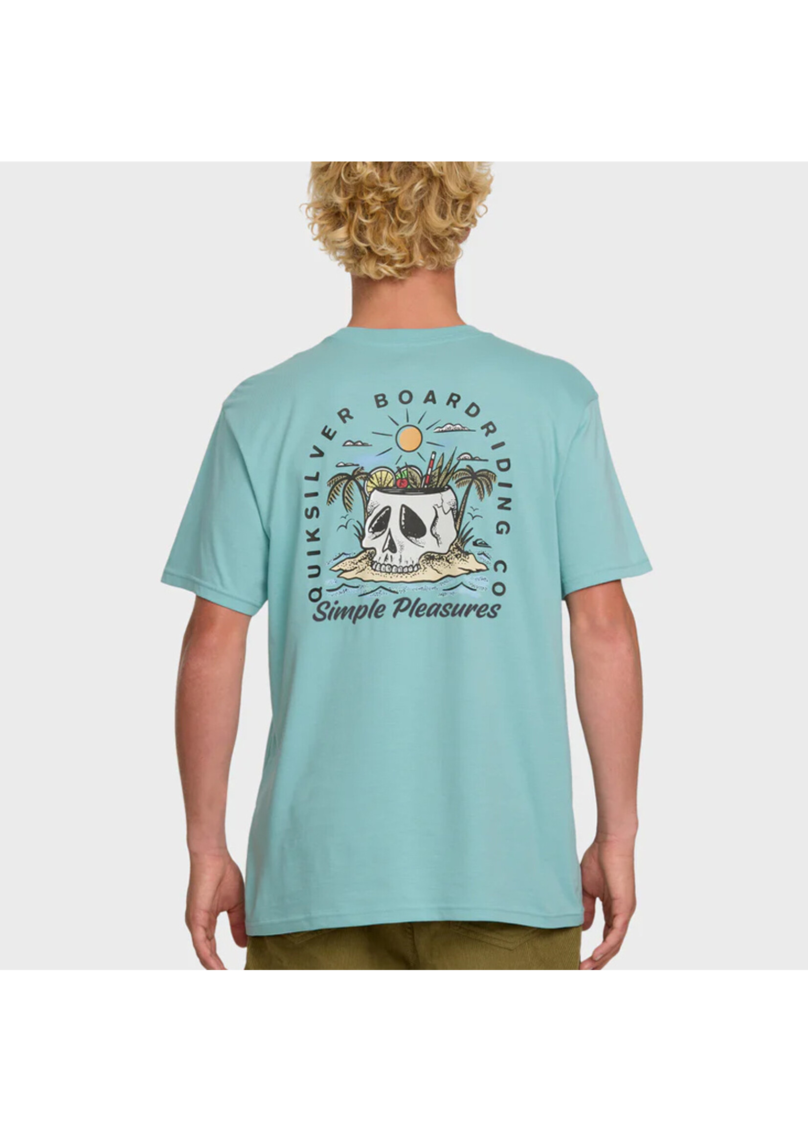 QUICKSILVER T-shirt SIMPLE PLEASURES  / Jade grey