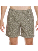 QUIKSILVER Short EVERYDAY MIX  / Pale aloe