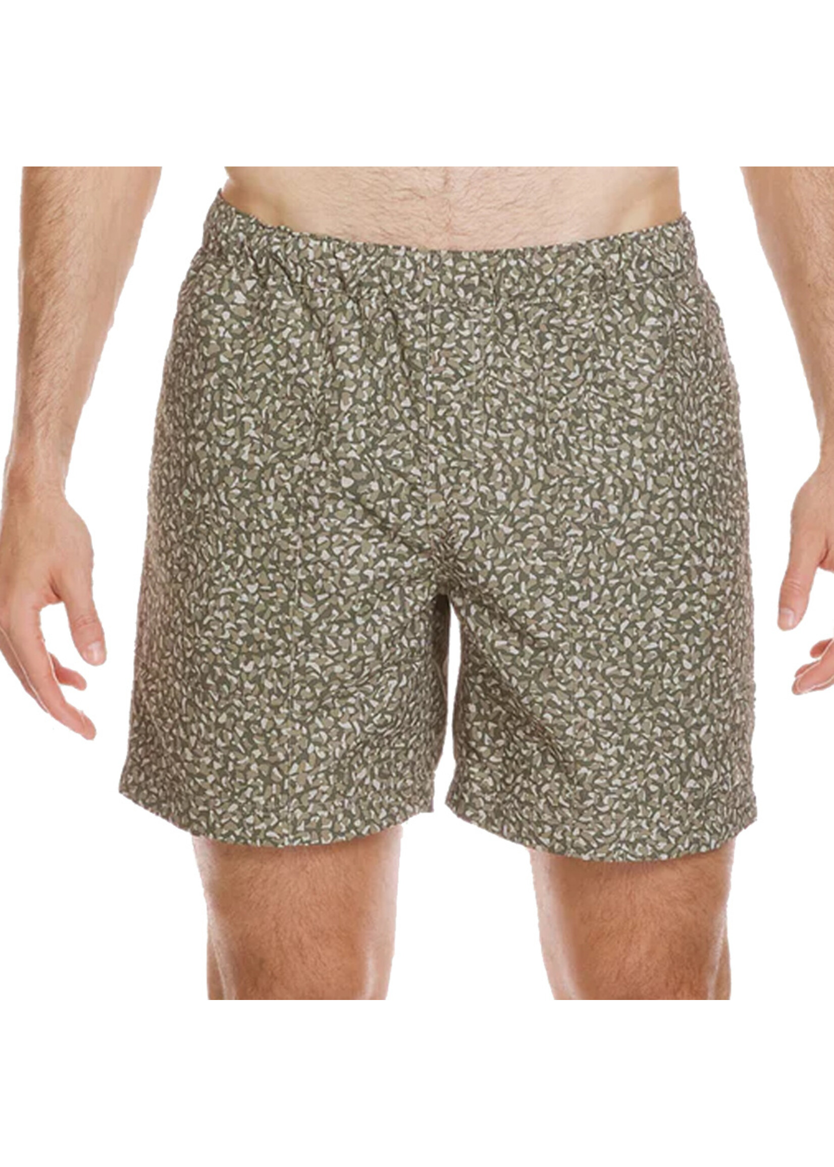 QUIKSILVER Short EVERYDAY MIX  / Pale aloe