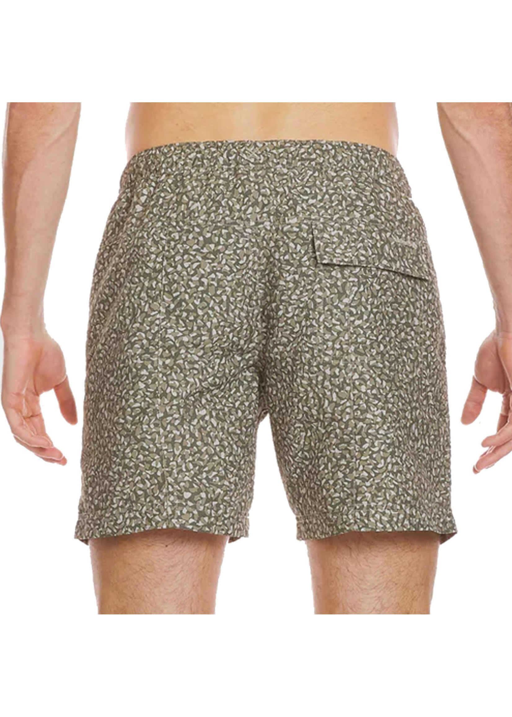 QUIKSILVER Short EVERYDAY MIX  / Pale aloe