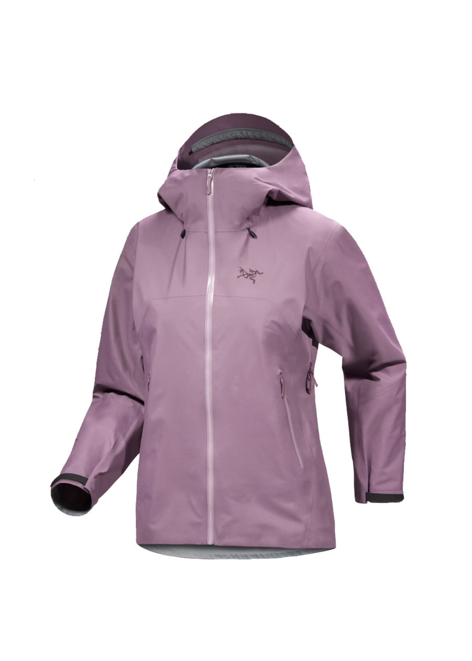 ARC'TERYX Veste à capuchon BETA SL (Femme)