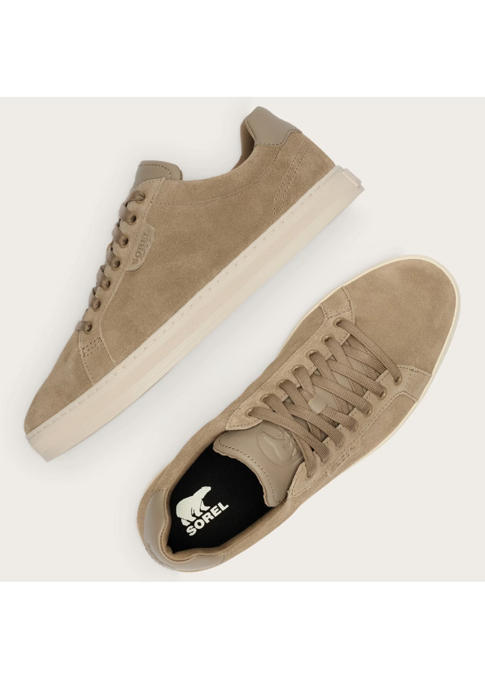 SOREL Souliers CYPRUS LX (Homme)