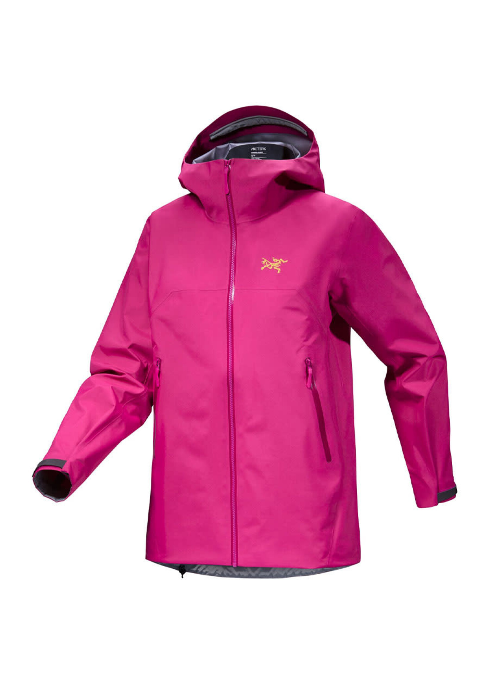 ARC'TERYX Veste à capuchon BETA / Amaranthus & Edziza (Femme)