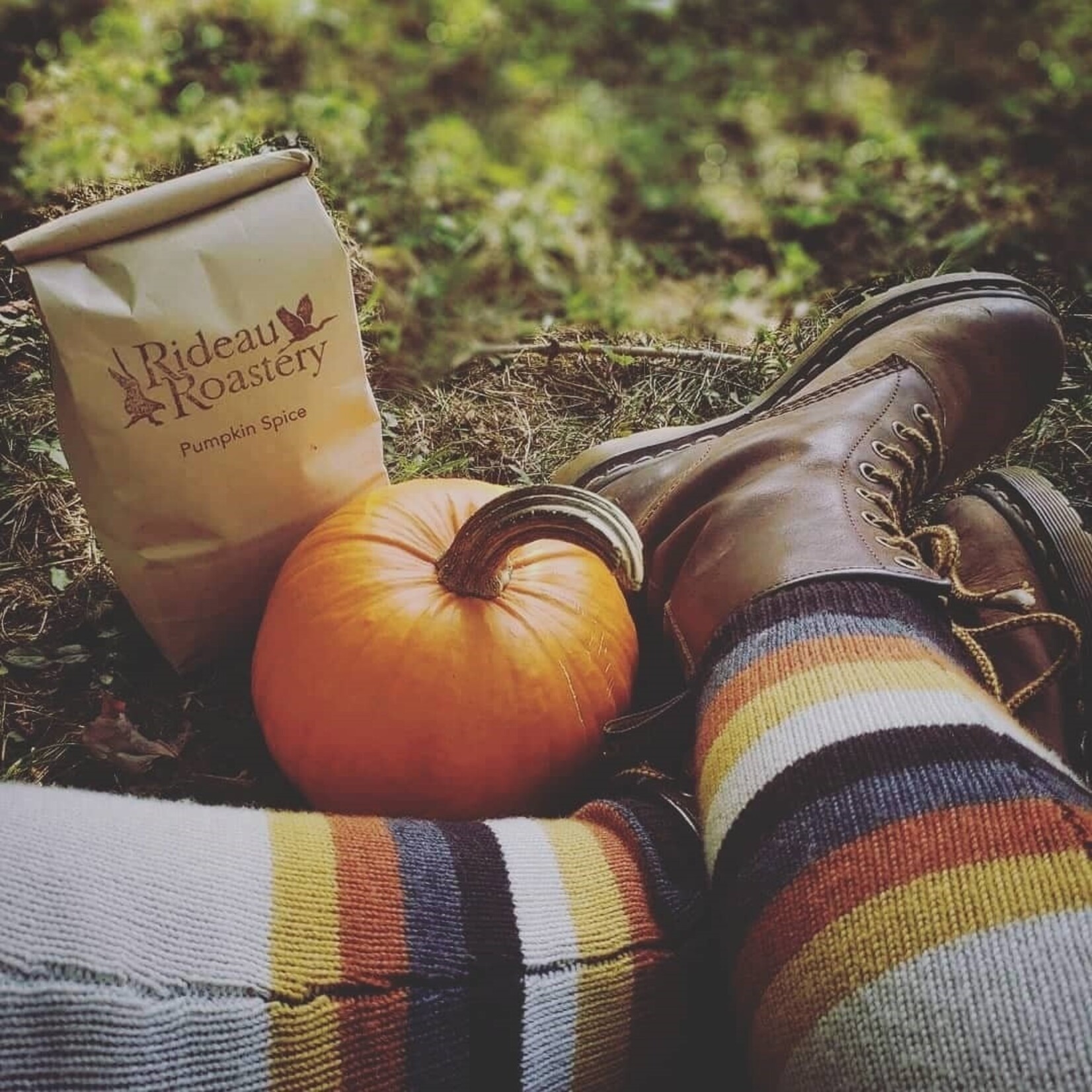 Autumn Seasonal Flavours (Limited)