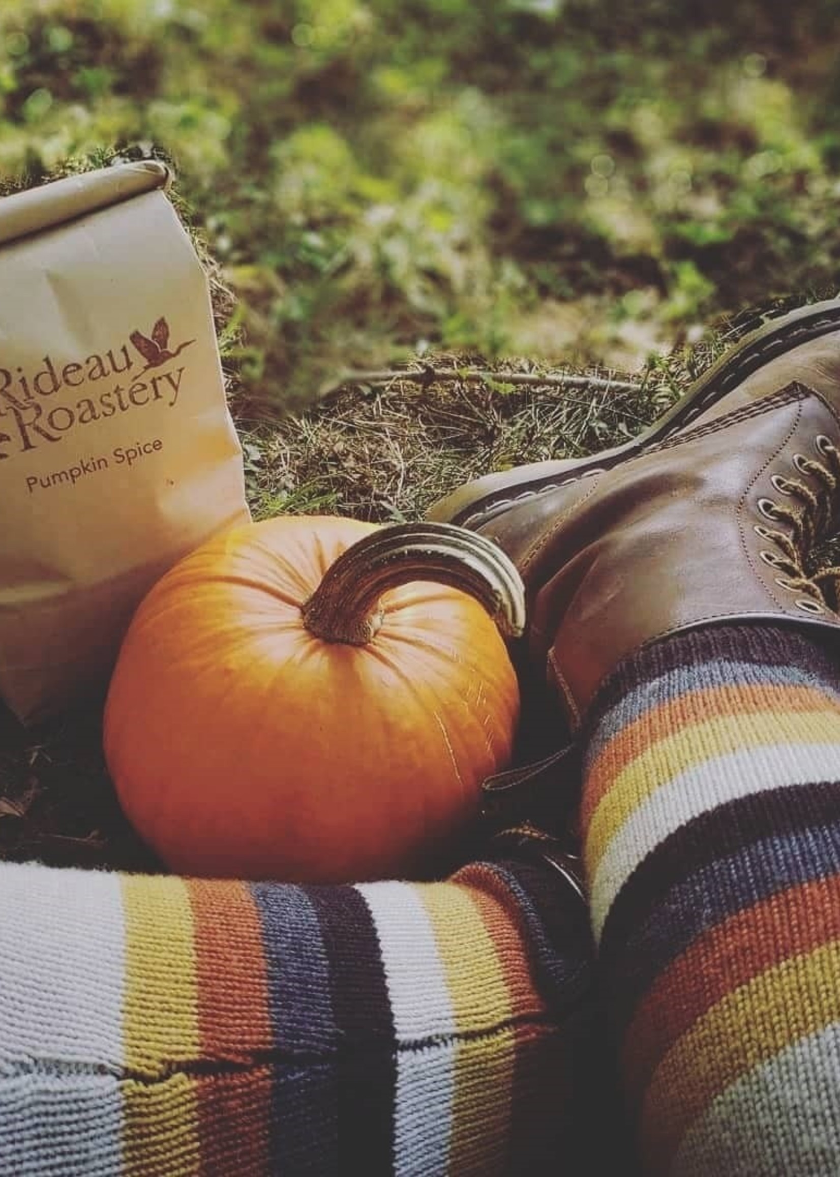 Autumn Seasonal Flavours (Limited)