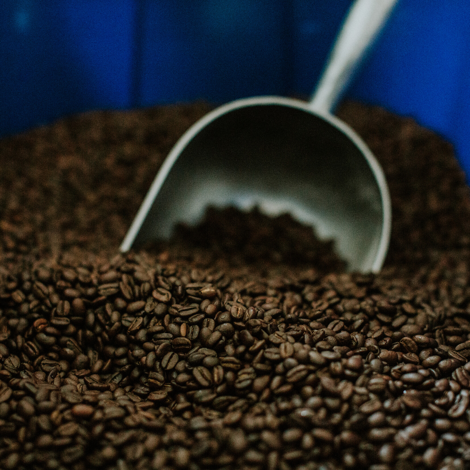 12 oz. Single Origin Roasts - ground