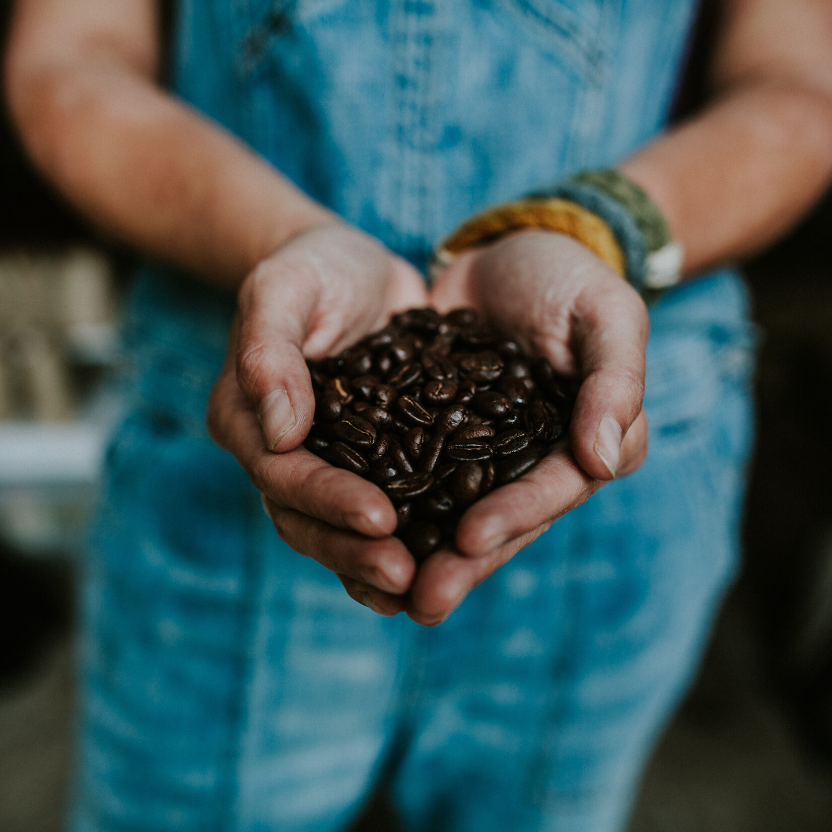 12 oz.  Single Origin Roasts - whole bean