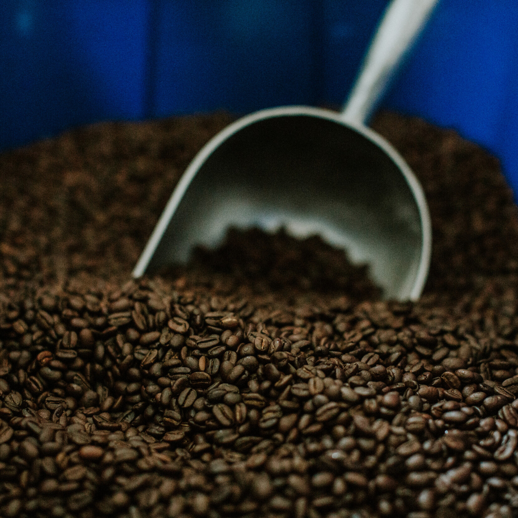 Girls Inc. Coffee Fundraiser