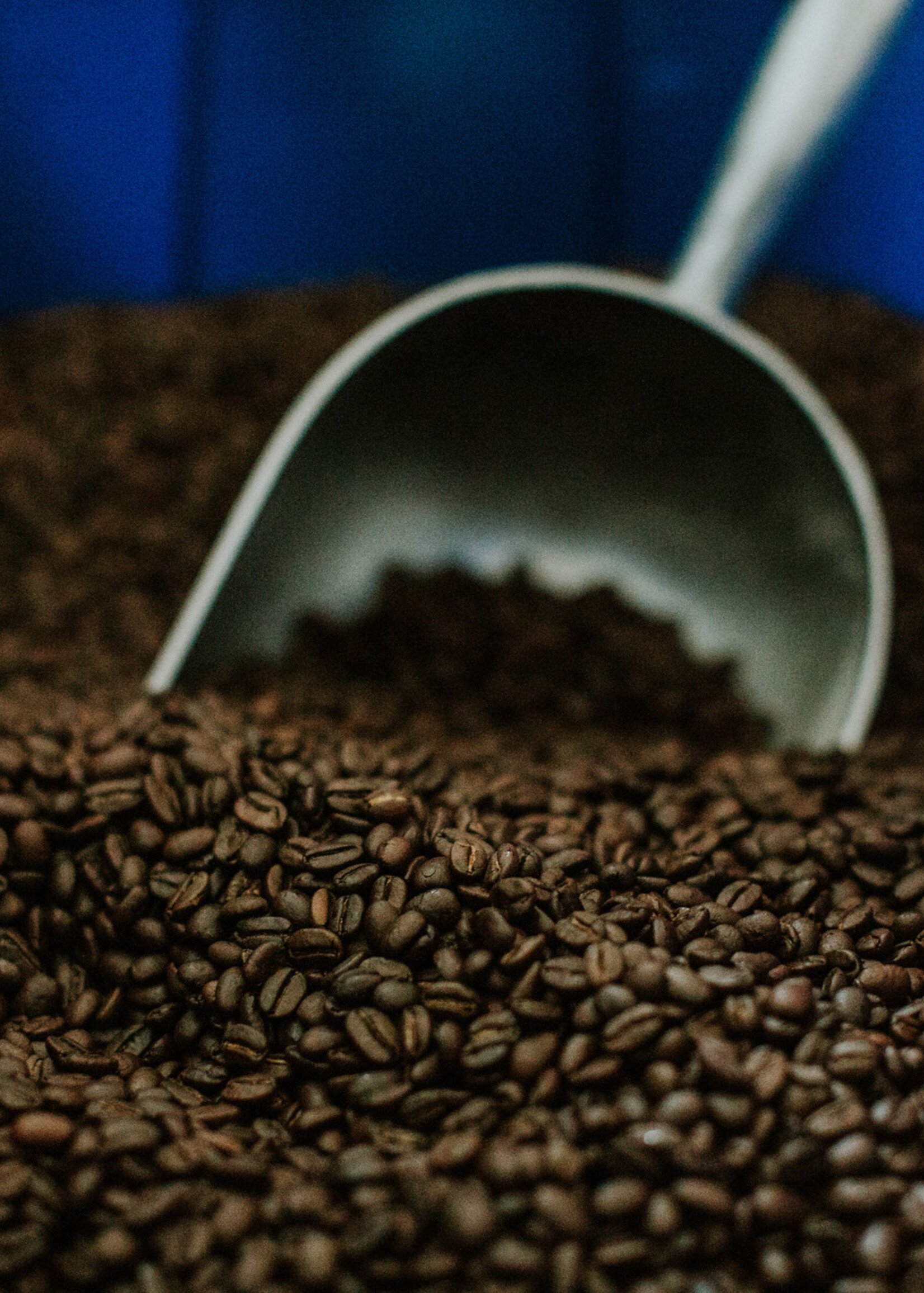 Winchester Public School