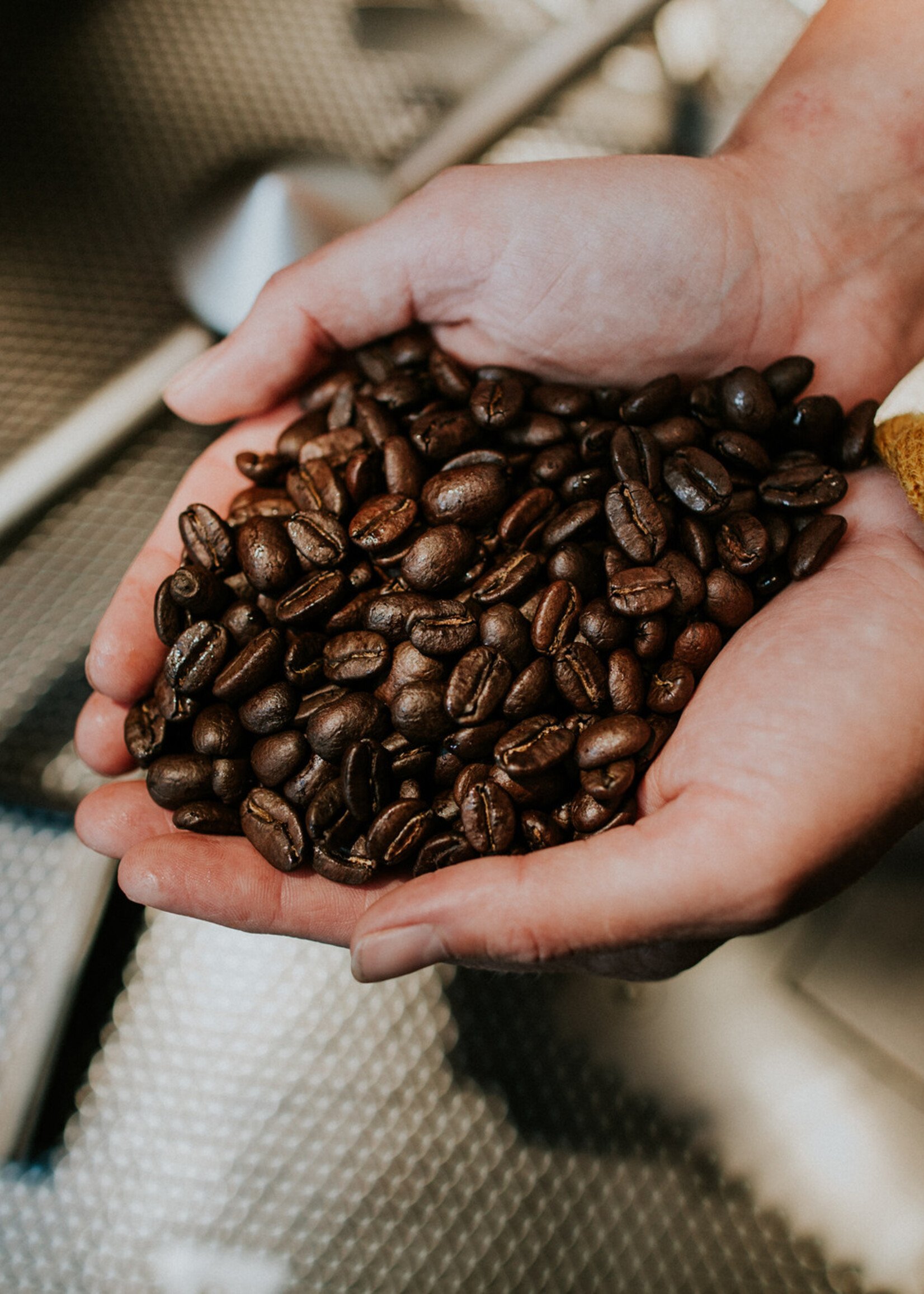 Winchester Public School