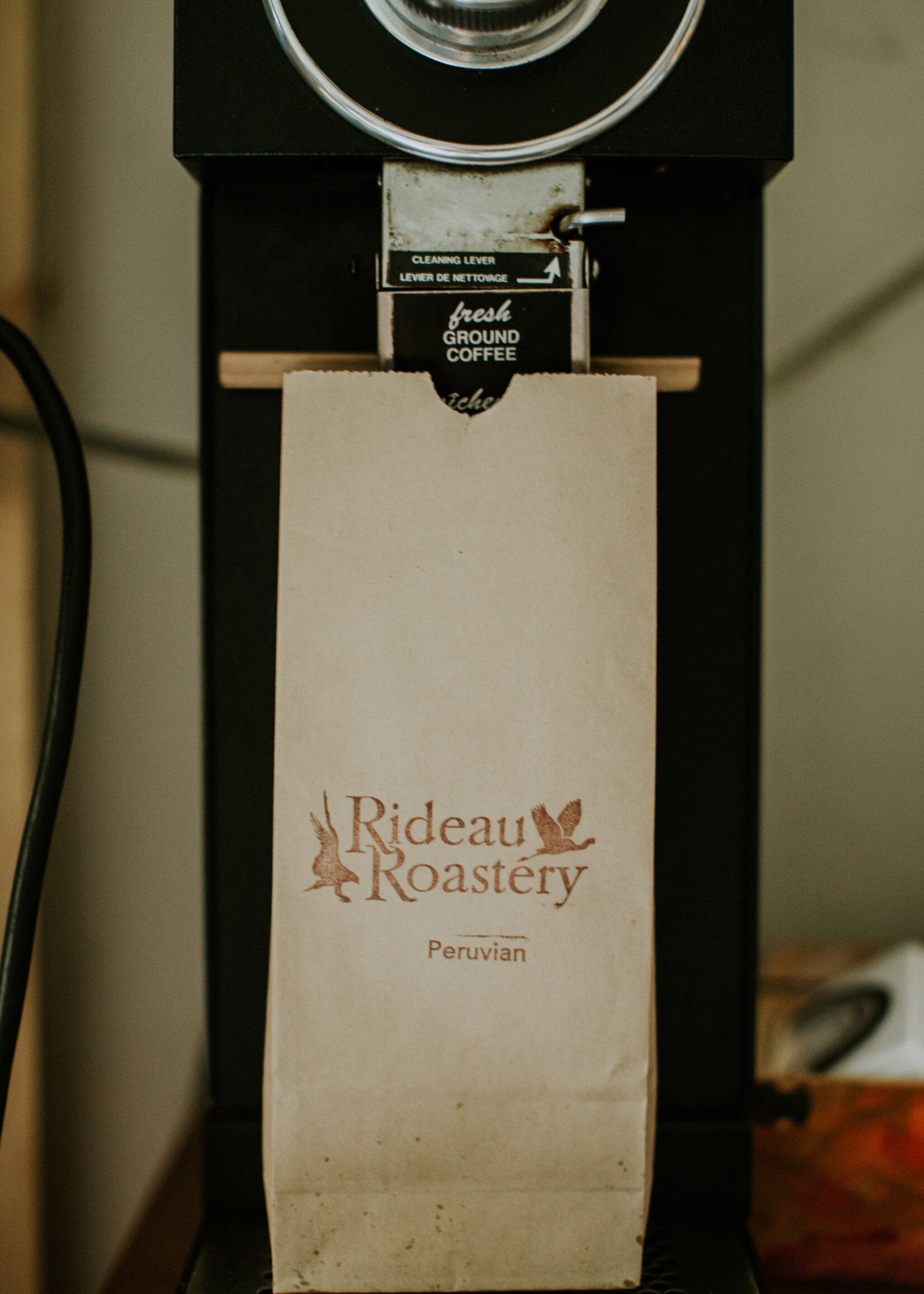 Winchester Public School