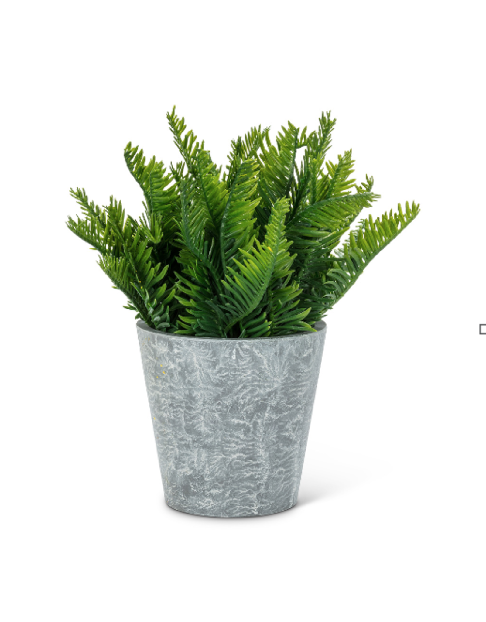 Abbott Fern Leaf Plant Pot