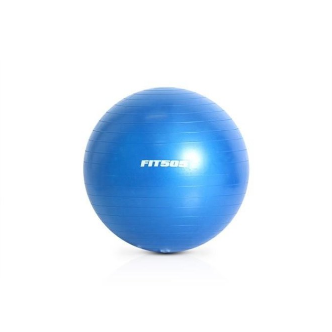 FIT505 55cm Anti Burst Stability Ball (Blue)