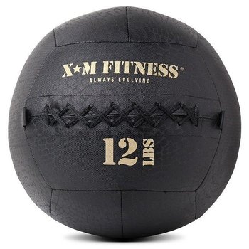 XM Wall Ball (8-30 lbs)