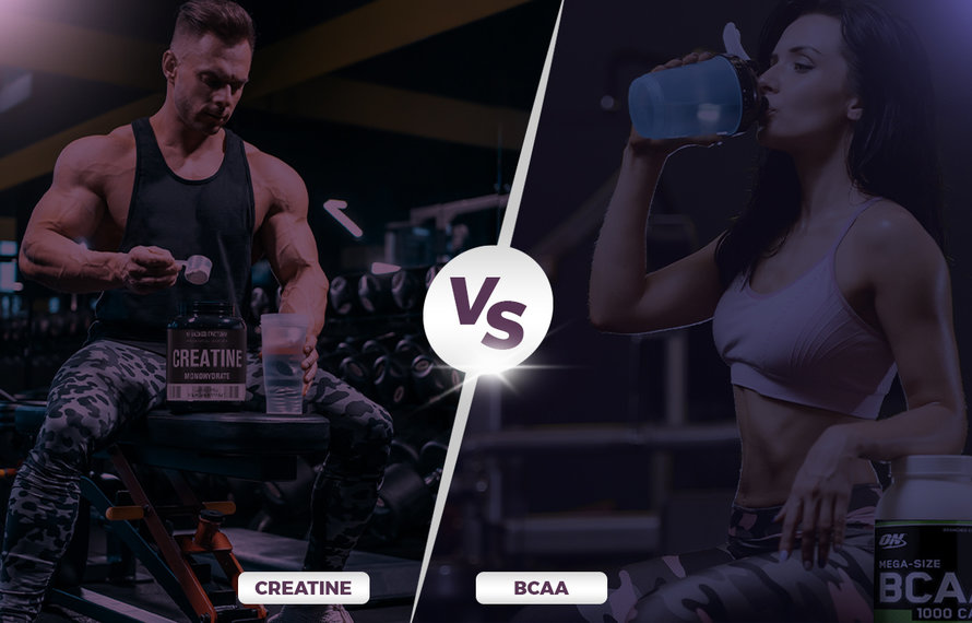 Creatine or Brand-Chain Amino Acids: Which Supplements are Right for You?