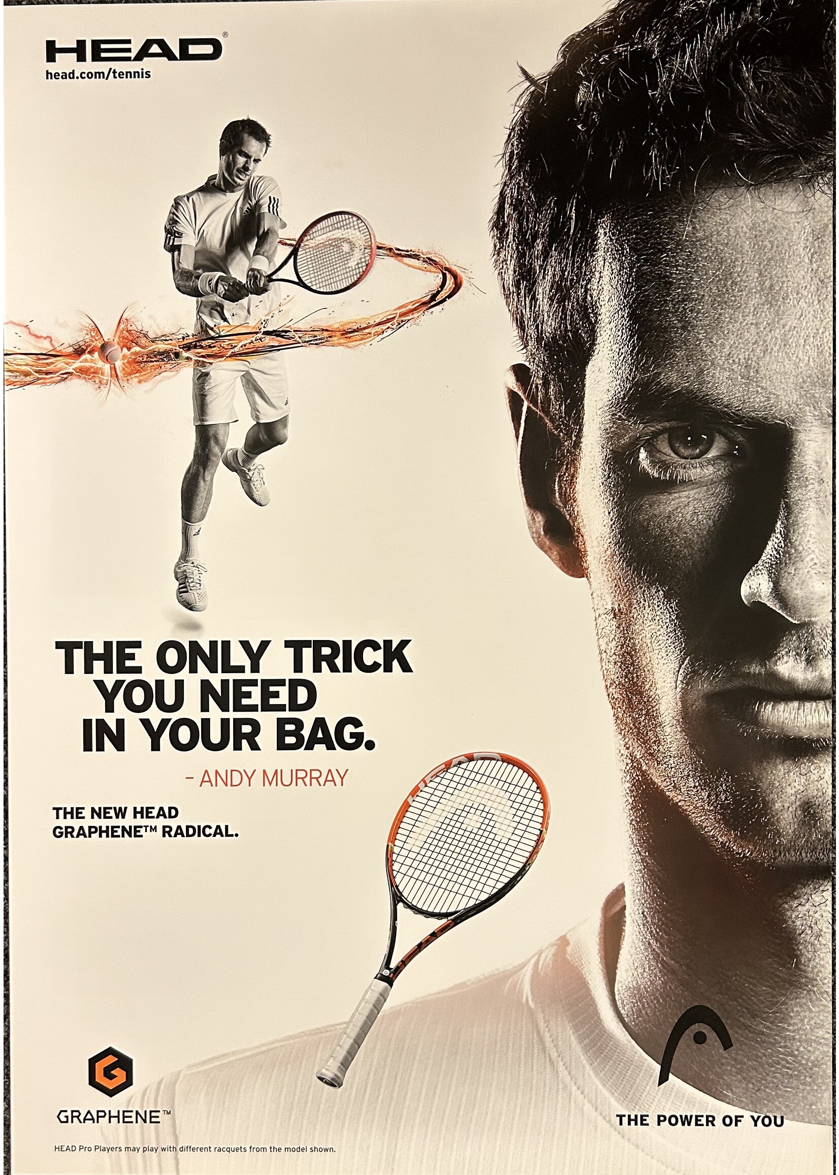 Head/Penn Poster 5-5: Andy Murray (16.5"x23")