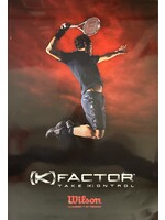 Babolat Poster 3-5: Roger Federer K-Factor (24"x36")