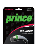 Prince Warrior Hybrid Control 17/17