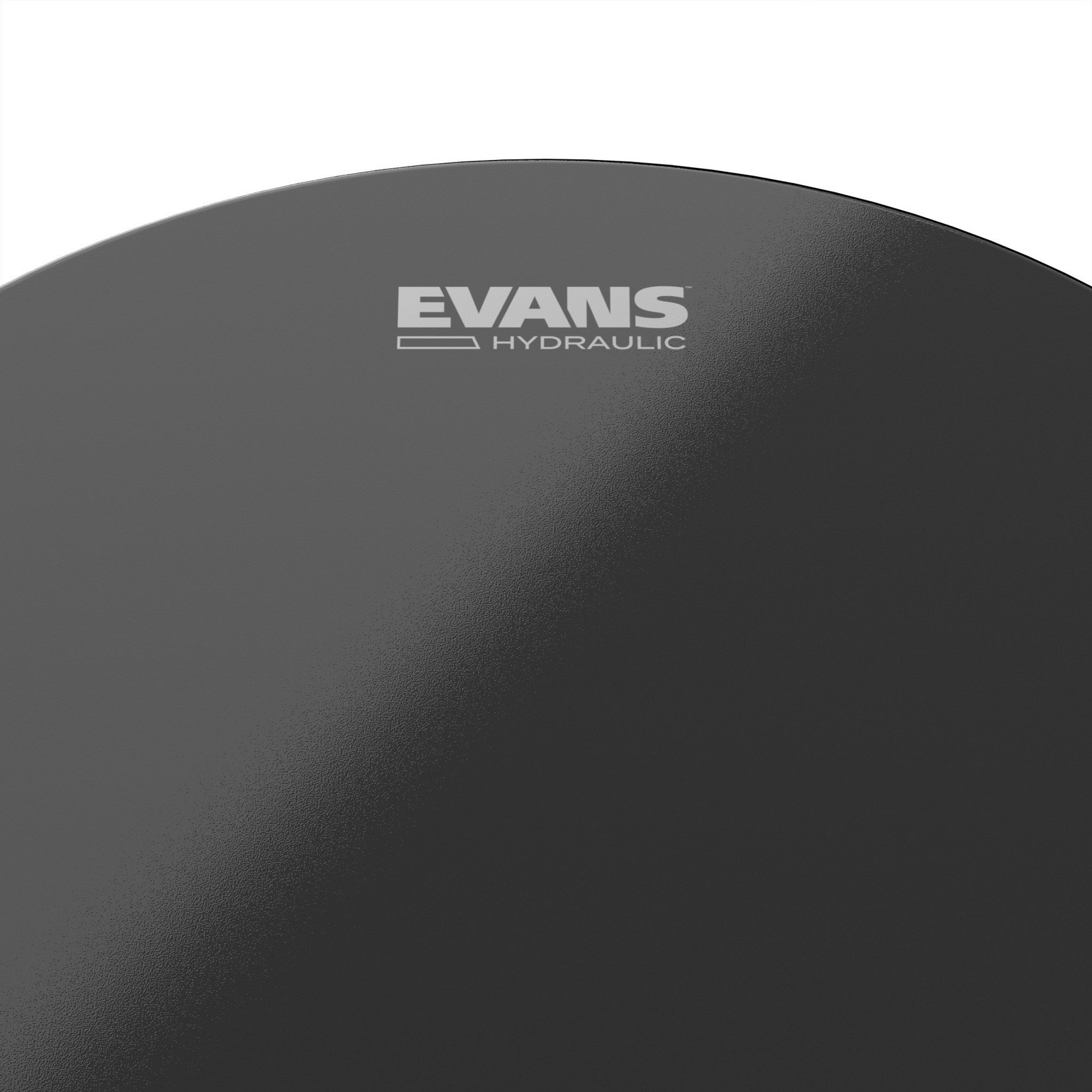 Evans Evans 14" Hydraulic Black Coated B14HBG