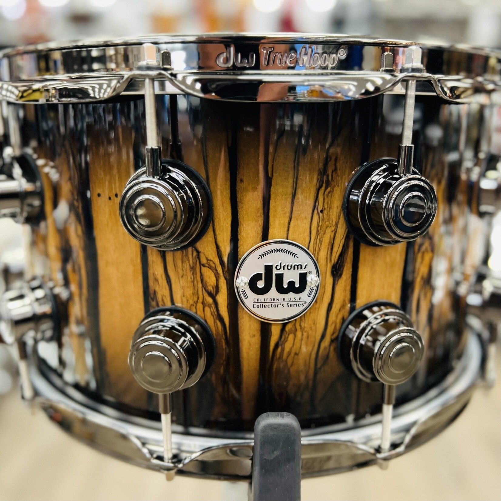 DW DW Collector's 8x14" SSC Maple Snare Drum (Natural to Quick Candy Black Burst Over Ivory Ebony w/Black Nickel HW)