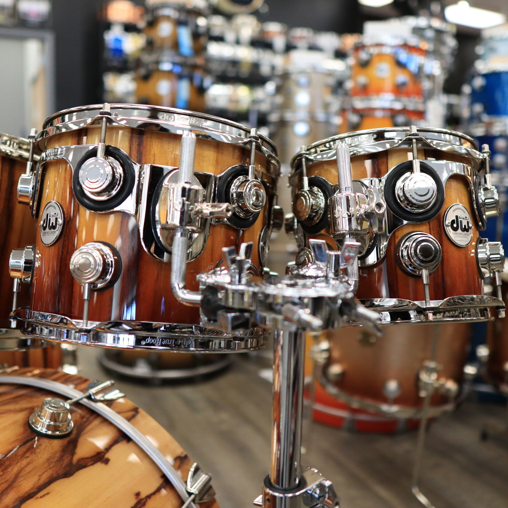DW DW Collector's Series Exotic Standard Maple 7-Piece Shell Pack 8/10/12/14/16/14s/22 (Natural To Burnt Toast Fade over African Chen Chen w/ Nickel Hardware)