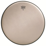 Remo Remo Renaissance Ambassador 14"