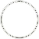 Aquarian Aquarian 18" (2 count) Studio Rings SR SET #5