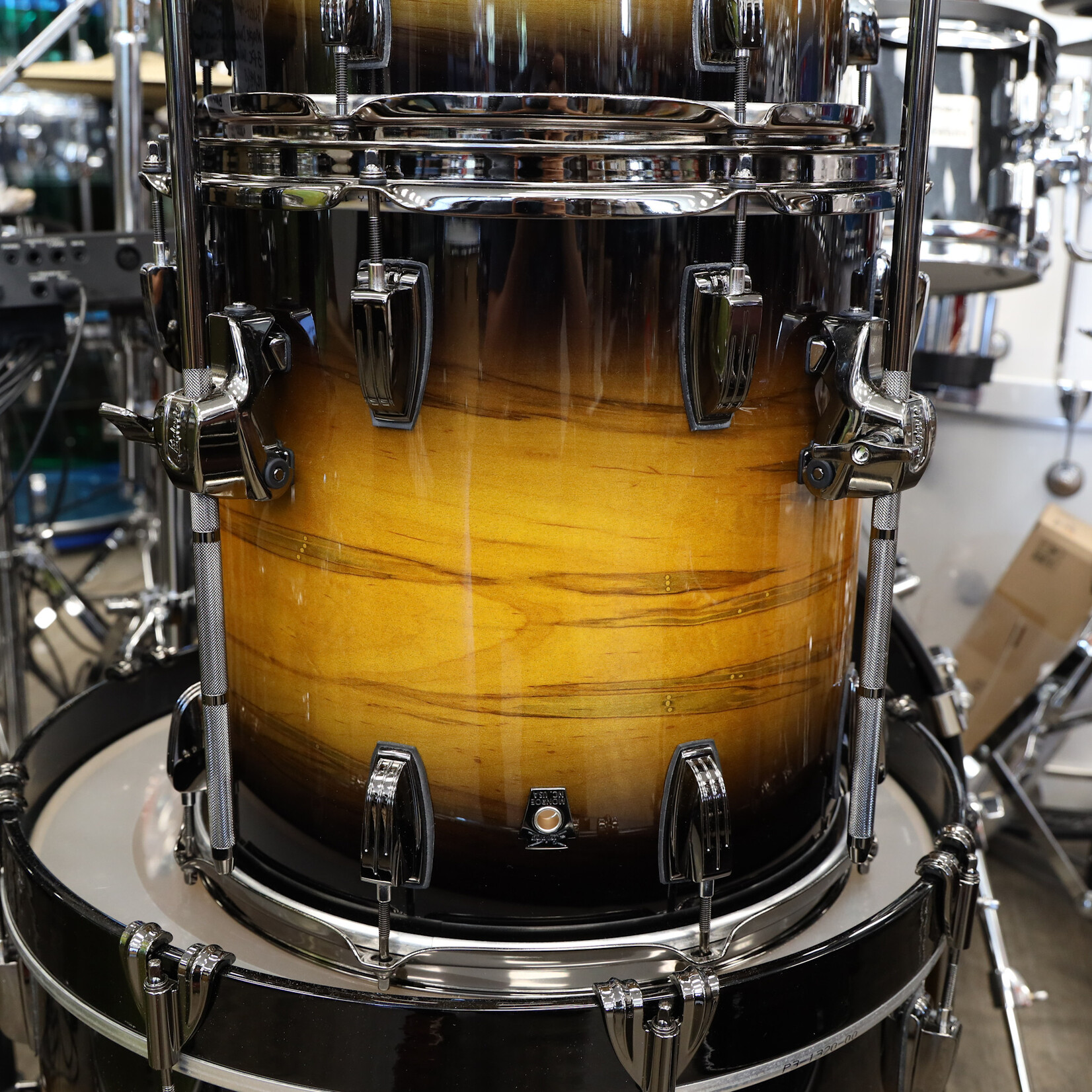 Ludwig Ludwig Exotic Select - Ambrosia Maple Downbeat 3-Pc Shell Pack 12/14/20 (Black Gold Burst)