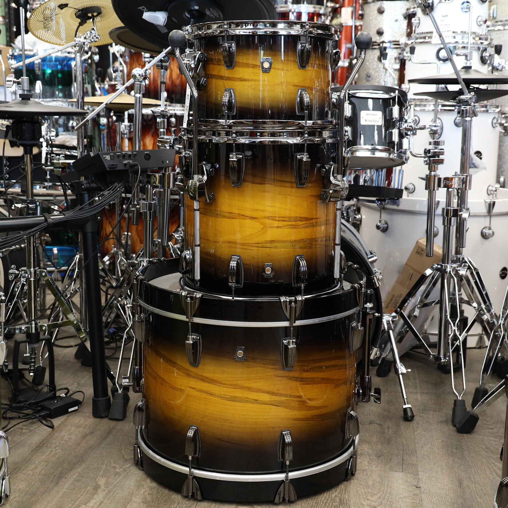 Ludwig Ludwig Exotic Select - Ambrosia Maple Downbeat 3-Pc Shell Pack 12/14/20 (Black Gold Burst)