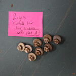 Rogers Vintage Rogers Slotted Hex Screws, for Lugs, Set A of 8