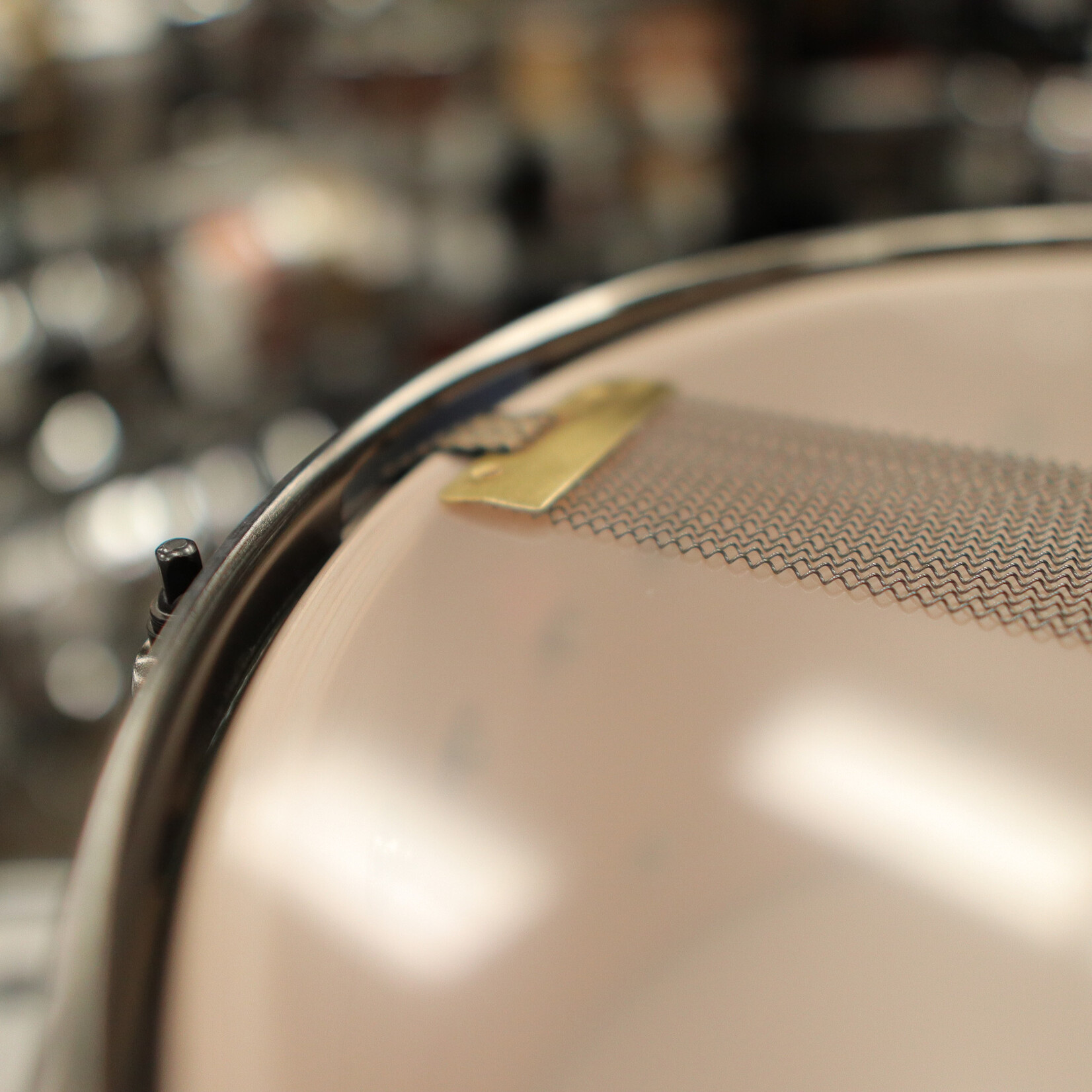 Pork Pie Pork Pie 7x14" Maple Max Snare Drum (Waterfall Bubinga High-Gloss w/ Black Nickel Hardware)