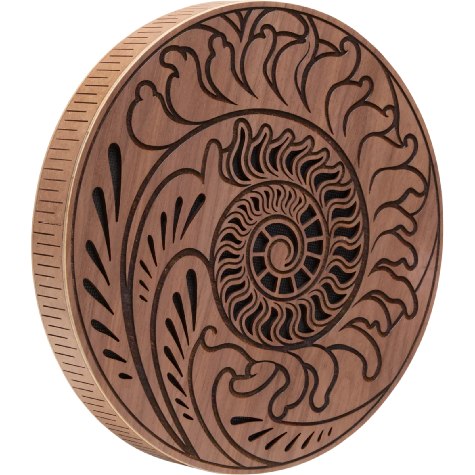 Meinl Meinl 10" Rain Disk, Ocean Sound, Fibonacci-Inspired Carving - RDO10F