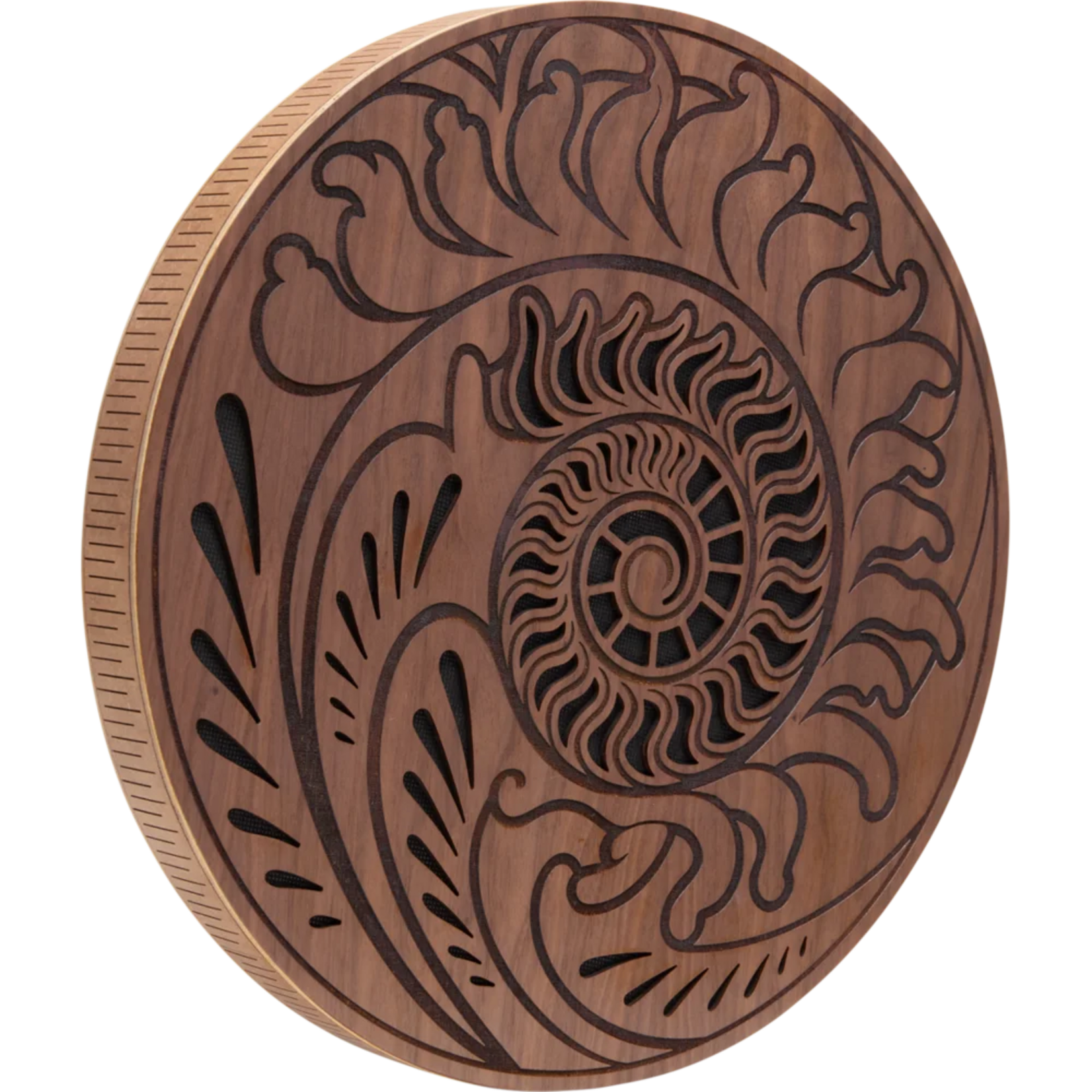 Meinl Meinl 15" Rain Disk, Ocean Sound, Fibonacci-Inspired Carving - RDO15F