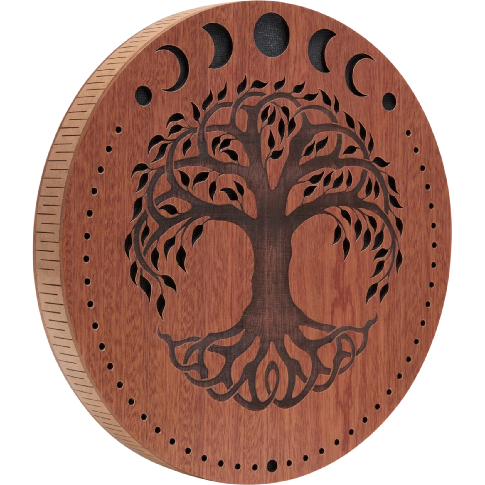 Meinl Meinl 12" Rain Disk, Stream Sound, Moon Phases & Tree of Life Carving - RDS12MTOL