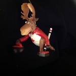 Moose Curling