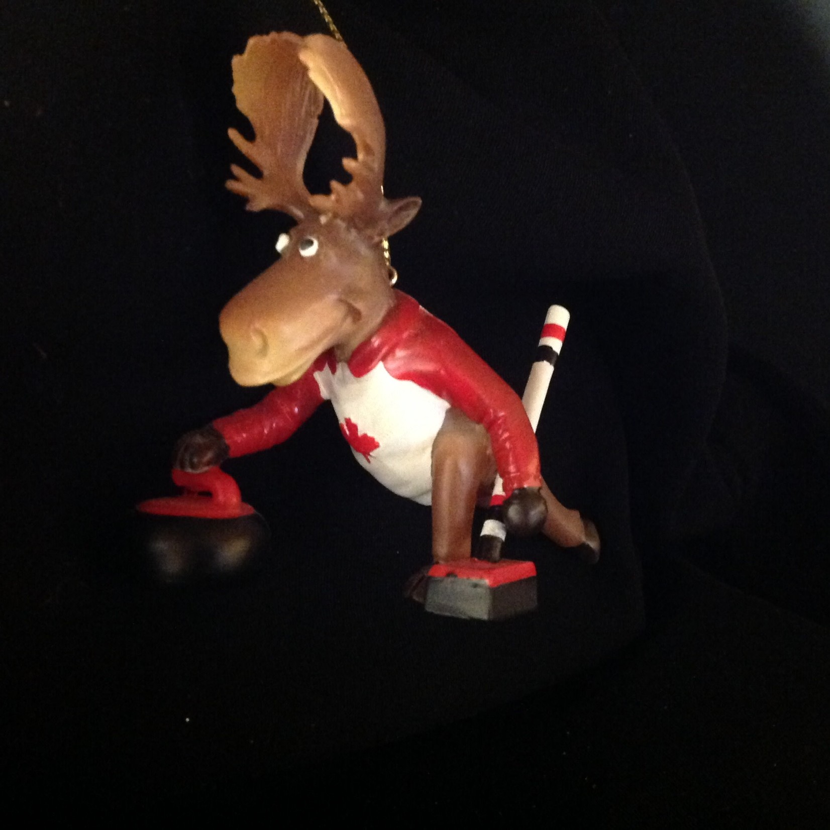 Moose Curling