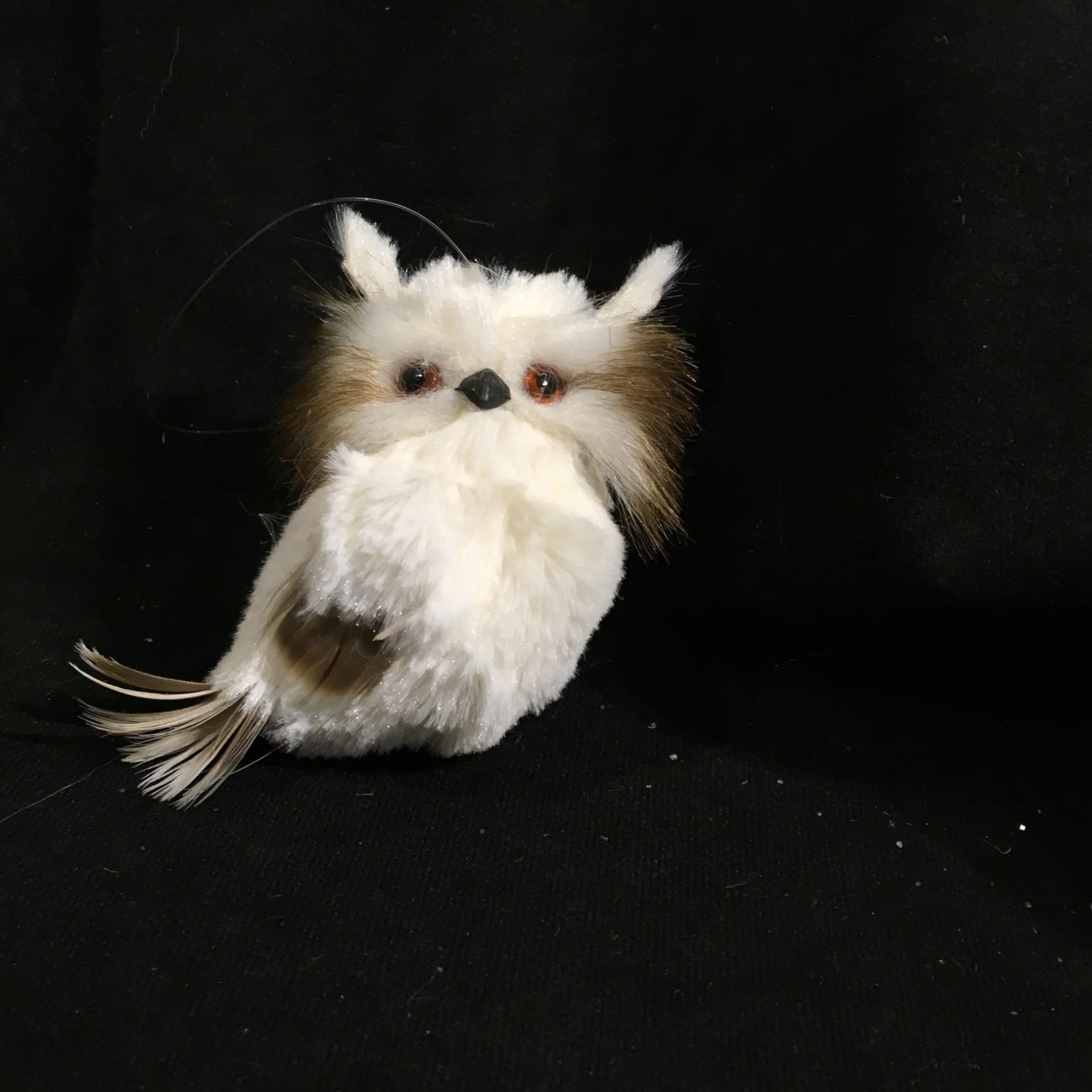 Cream & Brown Owl