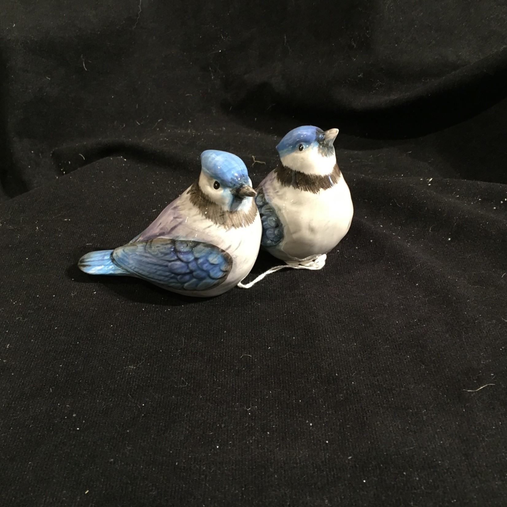 Blue Jay Salt & Pepper