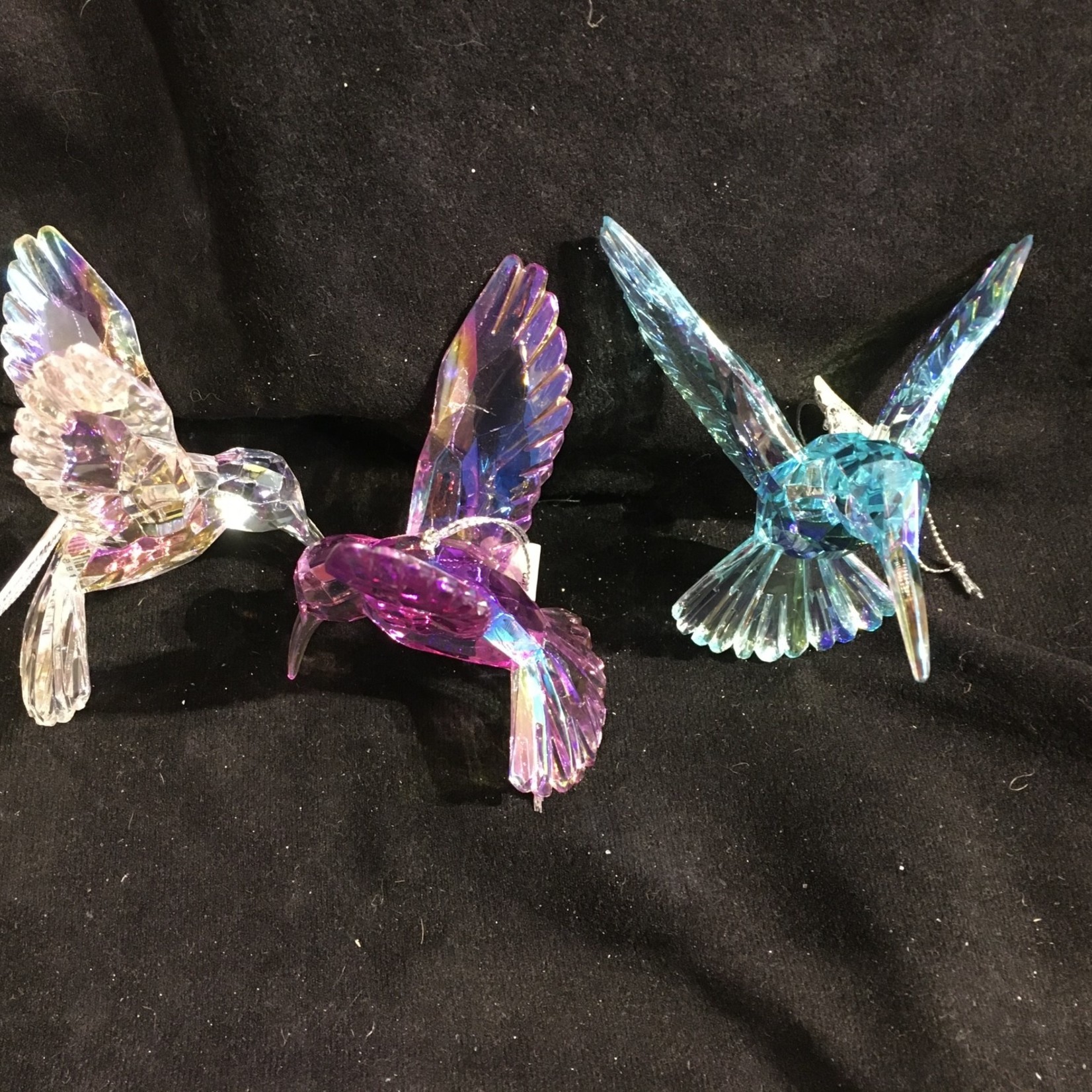 Irid Hummingbird Orn 3A