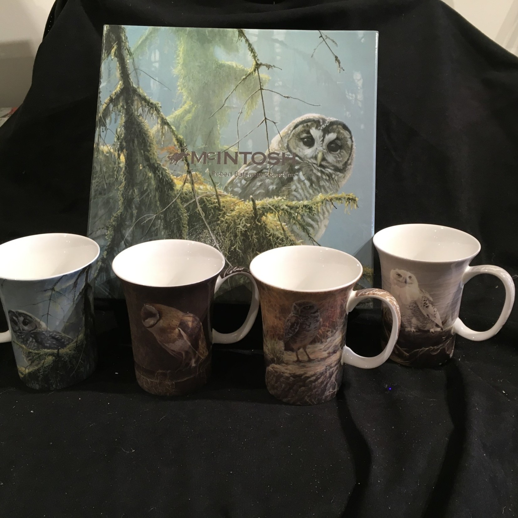 Bateman Owl Mugs (Set of 4)