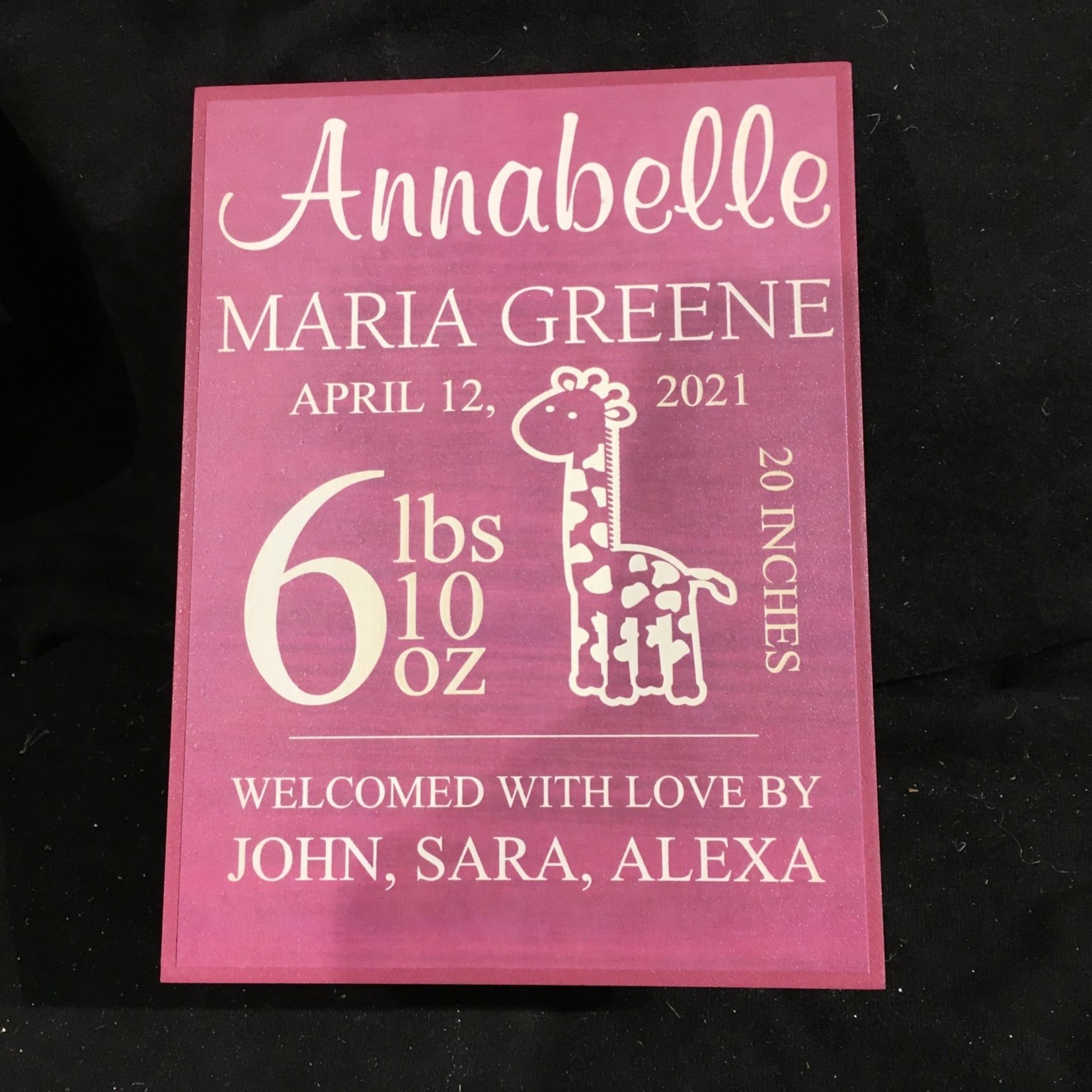 6 x 8" Pink Sign