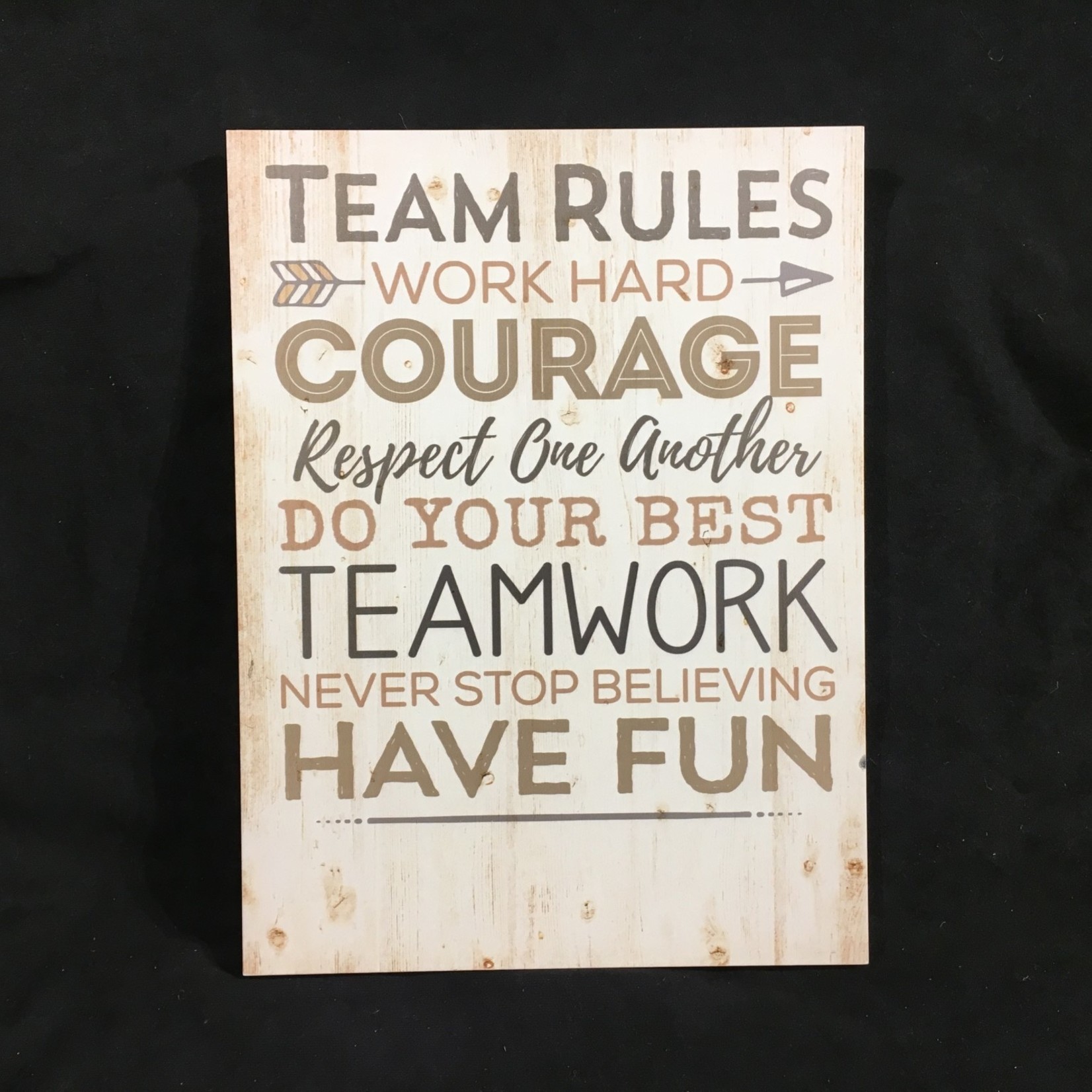 Plaque - Team Rules 12x16”