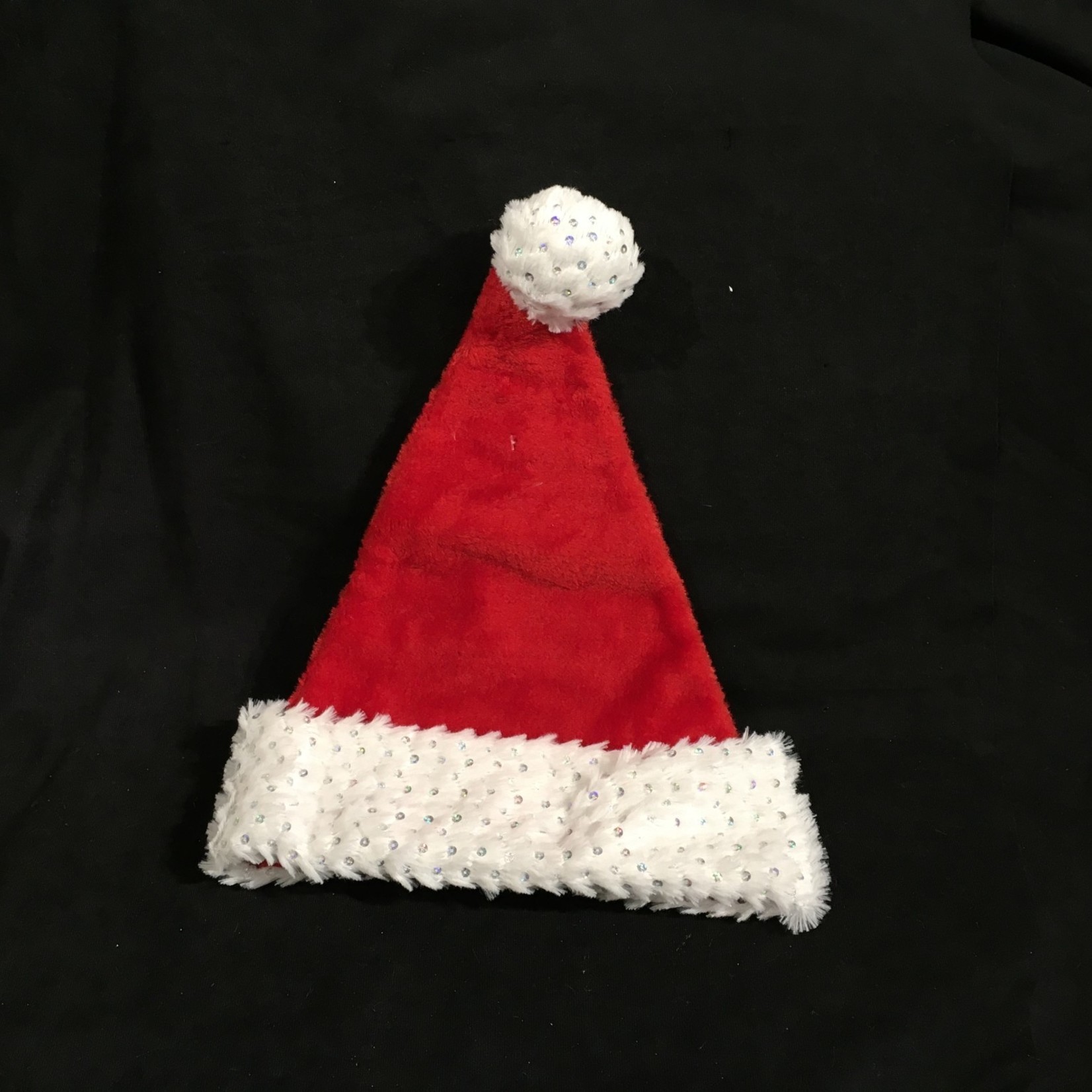 Santa Hat