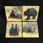 **Black Bear Coasters (Set of 4)