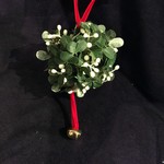 Mistletoe Ball