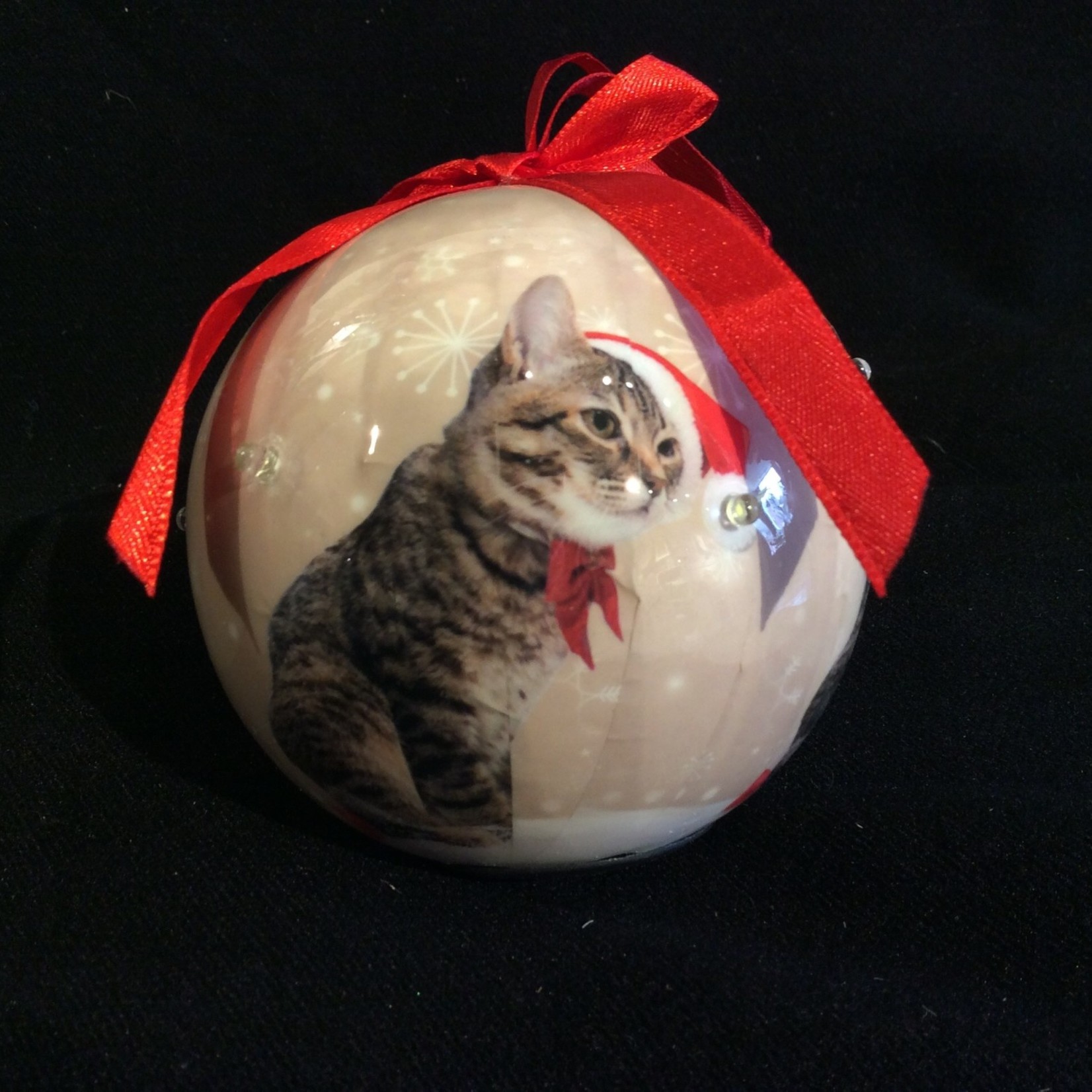 LED Ball Orn. - Santa Cat