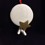 *Volleyball Star