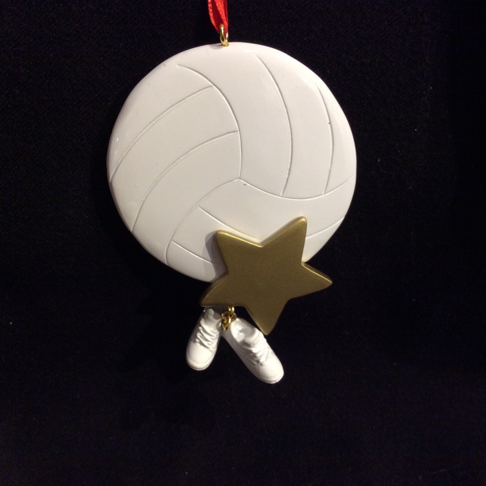 *Volleyball Star