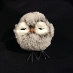 **Brown/White Sleepy Owlet Orn.