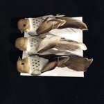 Clip-On Bird (Pk of 3)